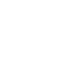 M1911