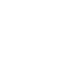 Gewehr 43