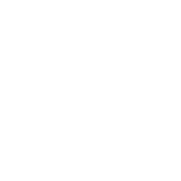 Grease Gun