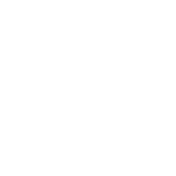 Kar 98k