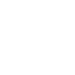 M1 Carbine