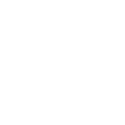 M1 Garand