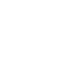STG 44