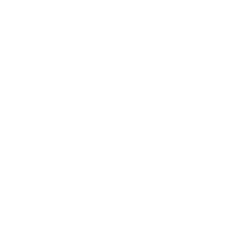 Trench Gun